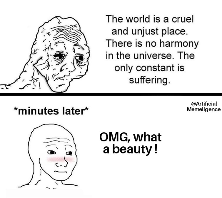 Meme on Cruel World and&nbsp;Beauty