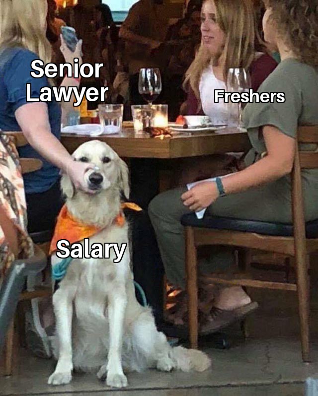 Lawyer, fresher, salary&nbsp;memes